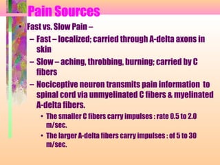 Pain Sources
• Fast vs. Slow Pain –
– Fast – localized; carried through A-delta axons in
skin
– Slow – aching, throbbing, burning; carried by C
fibers
– Nociceptive neuron transmits pain information to
spinal cord via unmyelinated C fibers & myelinated
A-delta fibers.
• The smaller C fibers carry impulses : rate 0.5 to 2.0
m/sec.
• The larger A-delta fibers carry impulses : of 5 to 30
m/sec.
 