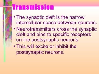 Transmission
• The synaptic cleft is the narrow
intercellular space between neurons.
• Neurotransmitters cross the synaptic
cleft and bind to specific receptors
on the postsynaptic neurons
• This will excite or inhibit the
postsynaptic neurons.
 