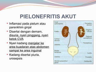 Pielum dr tatik Acute Abdomen untuk idi dndndnd.pptx