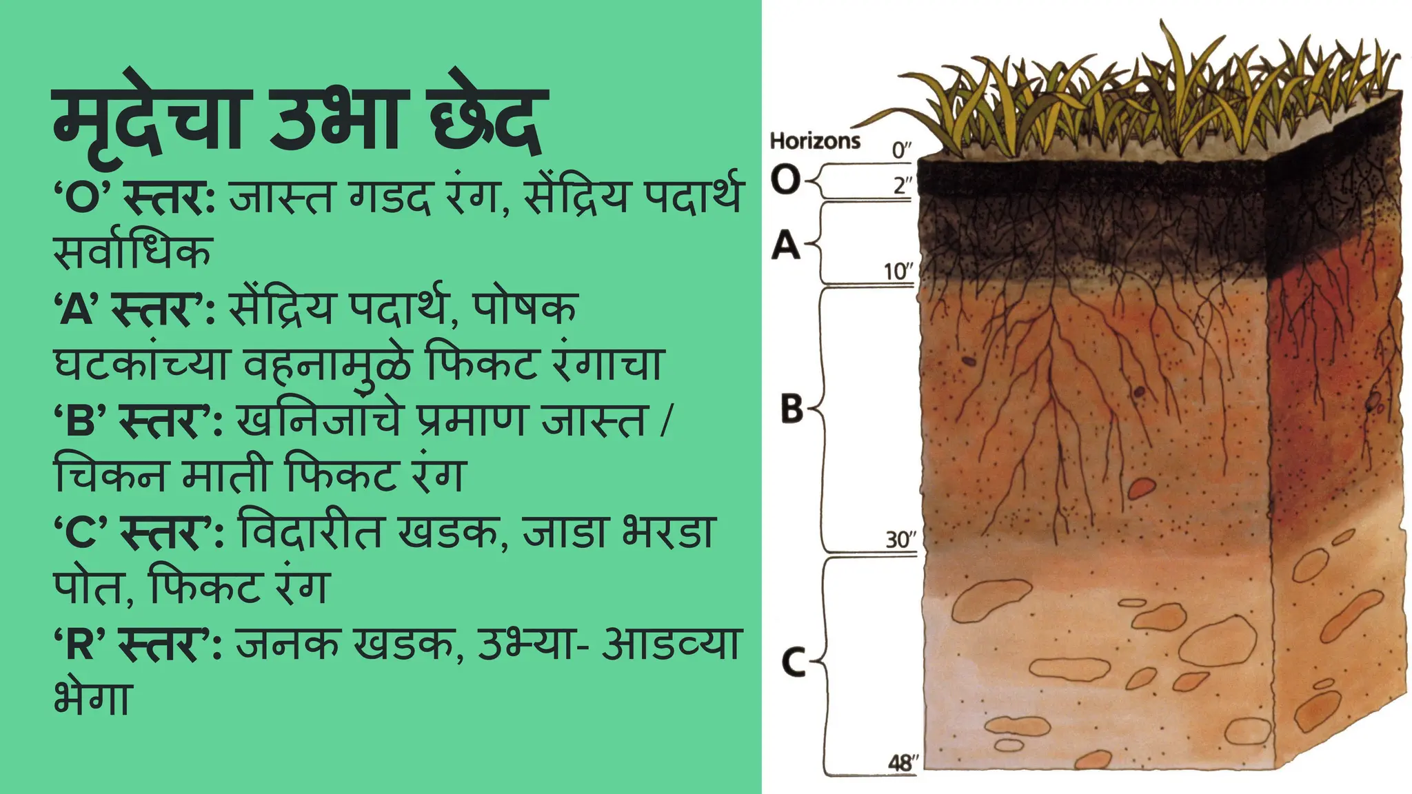 Soil Geography Practical | PDF