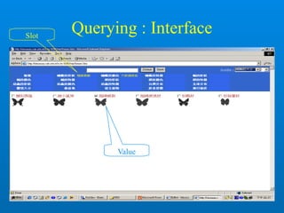 Querying : InterfaceSlot
Value
 