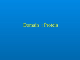 Domain : Protein
 