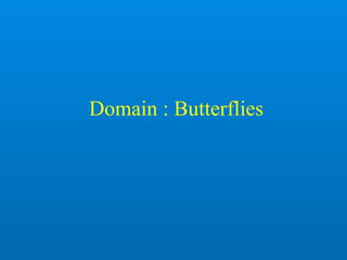 Domain : Butterflies
 