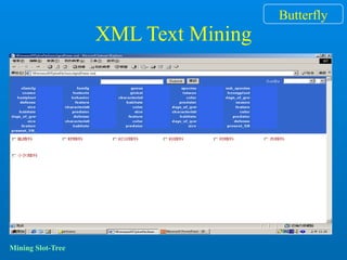 XML Text Mining
Butterfly
Mining Slot-Tree
 