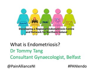 What is Endometriosis?
Dr Tommy Tang
Consultant Gynaecologist, Belfast
@PainAllianceNI

#PANIendo

 