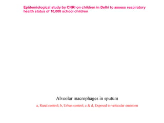 Alveolar macrophages in sputum
a, Rural control; b, Urban control; c & d, Exposed to vehicular emission
Epidemiological study by CNRI on children in Delhi to assess respiratory
health status of 10,000 school children
 