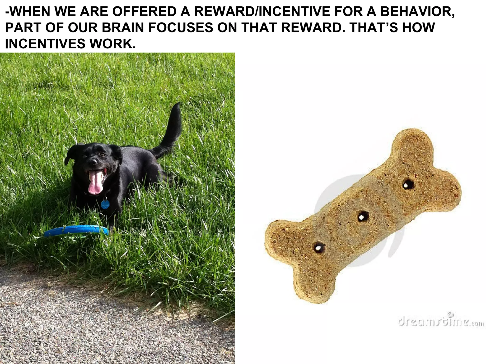 -WHEN WE ARE OFFERED A REWARD/INCENTIVE FOR A BEHAVIOR,
PART OF OUR BRAIN FOCUSES ON THAT REWARD. THAT’S HOW
INCENTIVES WORK.
 