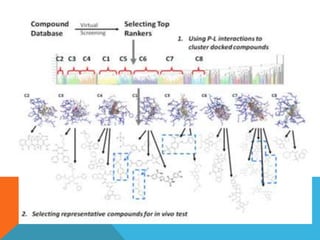 Hit Lead Visualization Drug discovery hit to lead | PPTX