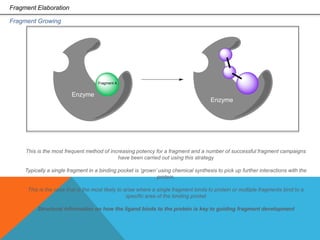 Drug discovery hit to lead | PPTX