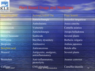 Plant Based Drugs and Medicines  Camellia sinensis CNS stimulant Caffeine Ananas comosus Anti-inflammatory, proteolytic Bromelain Several plants Antipyretic, analgesic, antiinflammatory Borneol Betula alba Anticancerous Betulinic  acid Ardisia japonica Antitussive Bergenin Berberis vulgaris Bacillary dysentery Berberine Several plants Scabicide Benzyl benzoate Atropa belladonna Anticholinergic Atropine Centella asiatica Vulnerary Asiaticoside Areca catechu Anthelmintic Arecoline Anisodus tanguticus Anticholinergic Anisodine Plant Source Action/Clinical Use Drug/Chemical 
