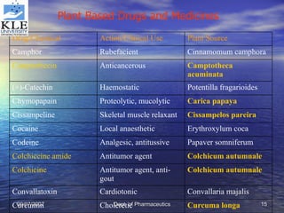 Plant Based Drugs and Medicines   Curcuma  longa Choleretic Curcumin Convallaria majalis Cardiotonic Convallatoxin Colchicum  autumnale Antitumor agent, anti-gout Colchicine Colchicum  autumnale Antitumor agent Colchiceine  amide Papaver somniferum Analgesic, antitussive Codeine Erythroxylum coca Local anaesthetic Cocaine Cissampelos   pareira Skeletal muscle relaxant Cissampeline Carica  papaya Proteolytic, mucolytic Chymopapain Potentilla fragarioides Haemostatic (+)-Catechin Camptotheca   acuminata Anticancerous Camptothecin Cinnamomum camphora Rubefacient Camphor Plant Source Action/Clinical Use Drug/Chemical 