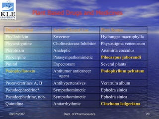 Plant Based Drugs and Medicines   Cinchona  ledgeriana Antiarrhythmic Quinidine Ephedra sinica Sympathomimetic Pseudoephedrine, nor-  Ephedra sinica Sympathomimetic Pseudoephredrine* Veratrum album Antihypertensives Protoveratrines A, B Podophyllum   peltatum Antitumor anticancer agent Podophyllotoxin Several plants Expectorant Pinitol Pilocarpus  jaborandi Parasympathomimetic Pilocarpine Anamirta cocculus Analeptic Picrotoxin Physostigma venenosum Cholinesterase Inhibitor Physostigmine Hydrangea macrophylla Sweetner Phyllodulcin Plant Source Action/Clinical Use Drug/Chemical 