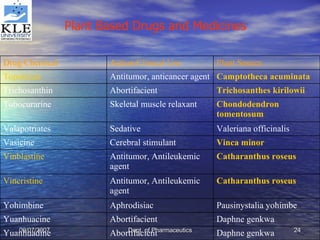 Plant Based Drugs and Medicines   Daphne genkwa Abortifacient Yuanhuadine Daphne genkwa Abortifacient Yuanhuacine Pausinystalia yohimbe Aphrodisiac Yohimbine Catharanthus   roseus Antitumor, Antileukemic agent Vincristine Catharanthus   roseus Antitumor, Antileukemic agent Vinblastine Vinca  minor Cerebral stimulant Vasicine Valeriana officinalis Sedative Valapotriates Chondodendron   tomentosum Skeletal muscle relaxant Tubocurarine Trichosanthes   kirilowii Abortifacient Trichosanthin Camptotheca   acuminata Antitumor, anticancer agent Topotecan   Plant Source Action/Clinical Use Drug/Chemical 