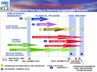 The New Drug Development Process   (Steps from Test Tube to New Drug Application Review) 