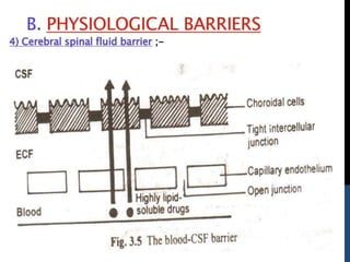 drug-distribution.pptx