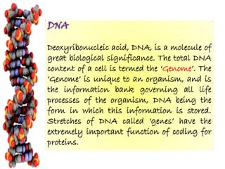 Drug dna interaction | PDF
