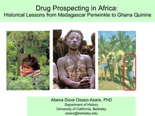 Drug Prospecting in Africa :  Historical Lessons from Madagascar Periwinkle to Ghana Quinine Abena Dove Osseo-Asare, PhD Department of History University of California, Berkeley [email_address] 