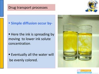 Drug transport processes

 Simple diffusion occur by Here the ink is spreading by
moving to lower ink solute
concentration.
 Eventually all the water will
be evenly colored.

 
