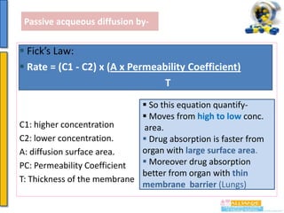 Passive acqueous diffusion by-

 Fick’s Law:
 Rate = (C1 - C2) x (A x Permeability Coefficient)
T
 So this equation quantify Moves from high to low conc.
C1: higher concentration
area.
C2: lower concentration.
 Drug absorption is faster from
organ with large surface area.
A: diffusion surface area.
 Moreover drug absorption
PC: Permeability Coefficient
better from organ with thin
T: Thickness of the membrane
membrane barrier (Lungs)

 
