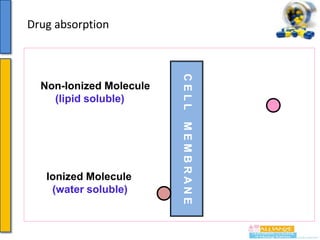 Drug absorption

MEMBRANE

Ionized Molecule
(water soluble)

CELL

Non-Ionized Molecule
(lipid soluble)

 