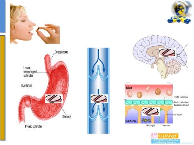 drug-absorption
