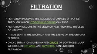 FILTRATION
• FILTRATION INVOLVES THE AQUEOUS CHANNELS OR PORES
THROUGH WHICH HYDROPHILIC DRUGS CAN PASS.
• FILTRATION OCCURS IN THE JEJUNUM AND PROXIMAL TUBULES
OF KIDNEYS.
• IT IS ABSENT IN THE STOMACH AND THE LINING OF THE URINARY
BLADDER.
• ONLY CERTAIN IONS LIKE NA+ AND DRUGS OF LOW MOLECULAR
WEIGHT, LIKE ETHANOL AND GLYCEROL CAN UNDERGO
FILTRATION.
 