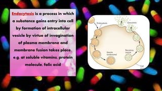 Endocytosis is a process in which
a substance gains entry into cell
by formation of intracellular
vesicle by virtue of invagination
of plasma membrane and
membrane fusion takes place.
e.g. at soluble vitamins, protein
molecule, folic acid
 