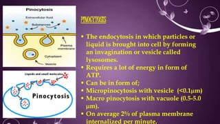 PINOCYTOSIS
 The endocytosis in which particles or
liquid is brought into cell by forming
an invagination or vesicle called
lysosomes.
 Requires a lot of energy in form of
ATP.
 Can be in form of;
 Micropinocytosis with vesicle (<0.1µm)
 Macro pinocytosis with vacuole (0.5-5.0
µm).
 On average 2% of plasma membrane
internalized per minute.
 
