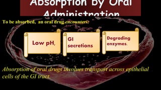 To be absorbed, an oral drug encounters:
Absorption of oral drugs involves transport across epithelial
cells of the GI tract.
Low pH,
GI
secretions
Degrading
enzymes.
 