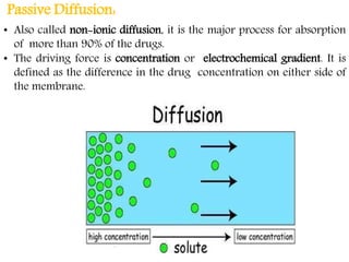 Diffusion Absorption Drug absorption naresh | PPTX