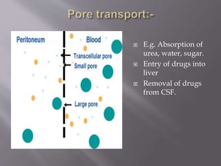  E.g. Absorption of
urea, water, sugar.
 Entry of drugs into
liver
 Removal of drugs
from CSF.
 