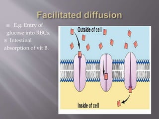  E.g. Entry of
glucose into RBCs.
 Intestinal
absorption of vit B.
 