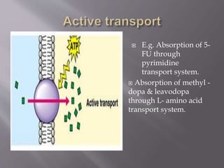  E.g. Absorption of 5-
FU through
pyrimidine
transport system.
 Absorption of methyl -
dopa & leavodopa
through L- amino acid
transport system.
 