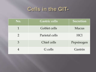 No. Gastric cells Secretion
1 Goblet cells Mucus
2 Parietal cells HCl
3 Chief cells Pepsinogen
4 G cells Gastrin
 