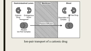 Ion-pair transport of a cationic drug
 