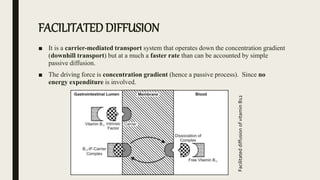 FACILITATED DIFFUSION
■ It is a carrier-mediated transport system that operates down the concentration gradient
(downhill transport) but at a much a faster rate than can be accounted by simple
passive diffusion.
■ The driving force is concentration gradient (hence a passive process). Since no
energy expenditure is involved.
Facilitated
diffusion
of
vitamin
B12
 
