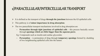 2)PARACELLULAR/INTERCELLULAR TRANSPORT
 It is defined as the transport of drugs through the junctions between the GI epithelial cells.
 This pathway is of minor importance in drug absorption.
 The two paracellular transport mechanisms involved in drug absorption are
– Permeation through tight junctions of epithelial cells – this process basically occurs
through openings which are little bigger than the aqueous pores.
Eg: Compounds such as insulin and cardiac glycosides
– Persorption – is permeation of drug through temporary openings formed by shedding
of two neighbouring epithelial cells into the lumen.
 