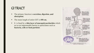 GI TRACT
 The primary function is secretion, digestion ,and
absorption.
 The mean length of entire GIT is 450 cm.
 It is lined by a thin layer of mucopolysaccharides which
act as an impermeable barrier to particulates such as
bacteria, cells or food particles.
 