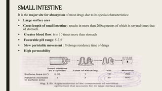 SMALL INTESTINE
It is the major site for absorption of most drugs due to its special characteristics:
 Large surface area
 Great length of small intestine : results in more than 200sq meters of which is several times that
of stomach.
 Greater blood flow: 6 to 10 times more than stomach
 Favorable pH range: 5-7.5
 Slow peristaltic movement : Prolongs residence time of drugs
 High permeability
 