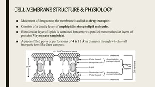 CELL MEMBRANE STRUCTURE & PHYSIOLOGY
■ Movement of drug across the membrane is called as drug transport.
■ Consists of a double layer of amphiphilic phospholipid molecules.
■ Bimolecular layer of lipids is contained between two parallel monomolecular layers of
proteins(Mayonnaise sandwich).
■ Aqueous filled pores or perforations of 4 to 10 Å in diameter through which small
inorganic ions like Urea can pass.
 