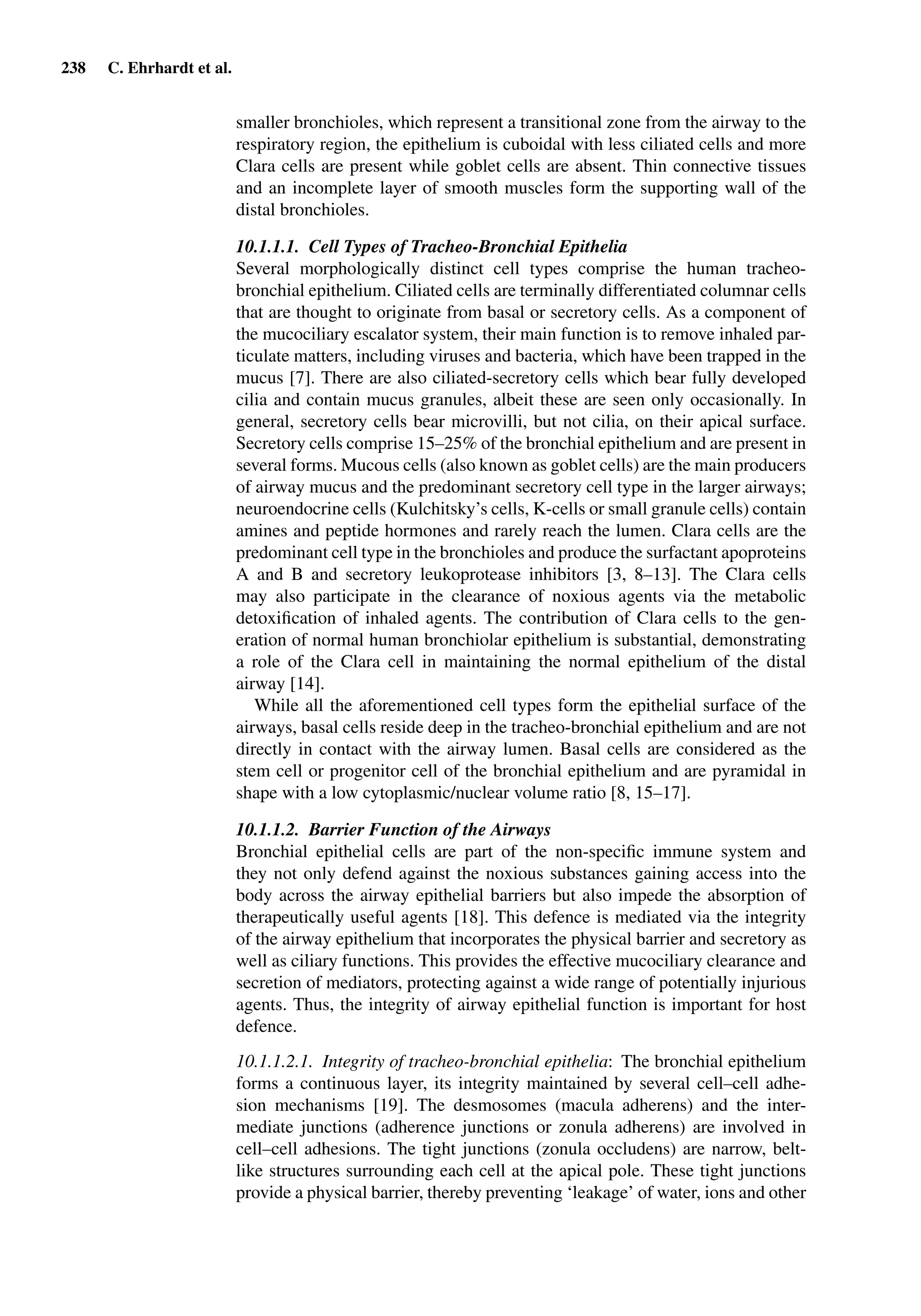238 C. Ehrhardt et al.
smaller bronchioles, which represent a transitional zone from the airway to the
respiratory region, the epithelium is cuboidal with less ciliated cells and more
Clara cells are present while goblet cells are absent. Thin connective tissues
and an incomplete layer of smooth muscles form the supporting wall of the
distal bronchioles.
10.1.1.1. Cell Types of Tracheo-Bronchial Epithelia
Several morphologically distinct cell types comprise the human tracheo-
bronchial epithelium. Ciliated cells are terminally differentiated columnar cells
that are thought to originate from basal or secretory cells. As a component of
the mucociliary escalator system, their main function is to remove inhaled par-
ticulate matters, including viruses and bacteria, which have been trapped in the
mucus [7]. There are also ciliated-secretory cells which bear fully developed
cilia and contain mucus granules, albeit these are seen only occasionally. In
general, secretory cells bear microvilli, but not cilia, on their apical surface.
Secretory cells comprise 15–25% of the bronchial epithelium and are present in
several forms. Mucous cells (also known as goblet cells) are the main producers
of airway mucus and the predominant secretory cell type in the larger airways;
neuroendocrine cells (Kulchitsky’s cells, K-cells or small granule cells) contain
amines and peptide hormones and rarely reach the lumen. Clara cells are the
predominant cell type in the bronchioles and produce the surfactant apoproteins
A and B and secretory leukoprotease inhibitors [3, 8–13]. The Clara cells
may also participate in the clearance of noxious agents via the metabolic
detoxiﬁcation of inhaled agents. The contribution of Clara cells to the gen-
eration of normal human bronchiolar epithelium is substantial, demonstrating
a role of the Clara cell in maintaining the normal epithelium of the distal
airway [14].
While all the aforementioned cell types form the epithelial surface of the
airways, basal cells reside deep in the tracheo-bronchial epithelium and are not
directly in contact with the airway lumen. Basal cells are considered as the
stem cell or progenitor cell of the bronchial epithelium and are pyramidal in
shape with a low cytoplasmic/nuclear volume ratio [8, 15–17].
10.1.1.2. Barrier Function of the Airways
Bronchial epithelial cells are part of the non-speciﬁc immune system and
they not only defend against the noxious substances gaining access into the
body across the airway epithelial barriers but also impede the absorption of
therapeutically useful agents [18]. This defence is mediated via the integrity
of the airway epithelium that incorporates the physical barrier and secretory as
well as ciliary functions. This provides the effective mucociliary clearance and
secretion of mediators, protecting against a wide range of potentially injurious
agents. Thus, the integrity of airway epithelial function is important for host
defence.
10.1.1.2.1. Integrity of tracheo-bronchial epithelia: The bronchial epithelium
forms a continuous layer, its integrity maintained by several cell–cell adhe-
sion mechanisms [19]. The desmosomes (macula adherens) and the inter-
mediate junctions (adherence junctions or zonula adherens) are involved in
cell–cell adhesions. The tight junctions (zonula occludens) are narrow, belt-
like structures surrounding each cell at the apical pole. These tight junctions
provide a physical barrier, thereby preventing ‘leakage’ of water, ions and other
 