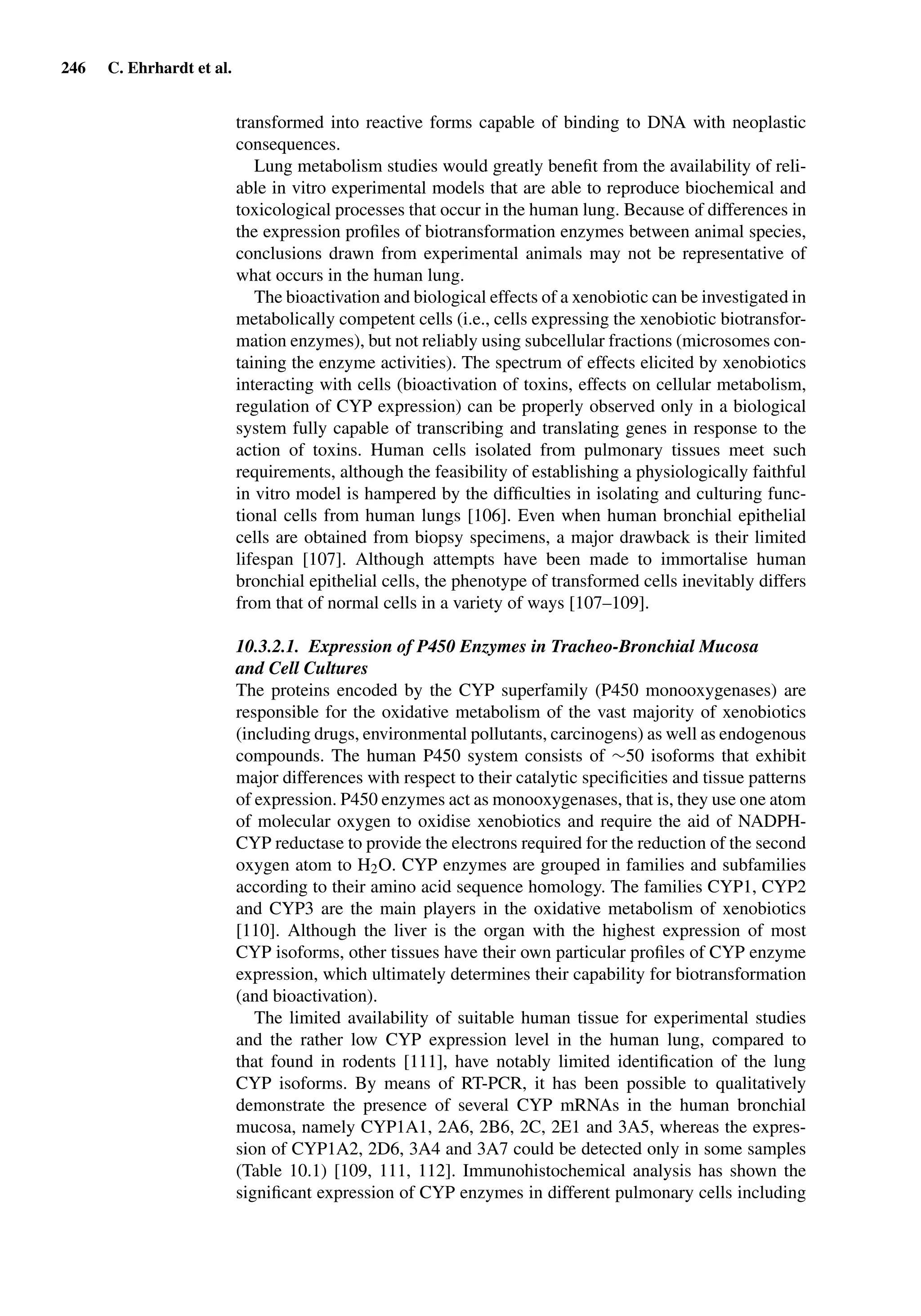 246 C. Ehrhardt et al.
transformed into reactive forms capable of binding to DNA with neoplastic
consequences.
Lung metabolism studies would greatly beneﬁt from the availability of reli-
able in vitro experimental models that are able to reproduce biochemical and
toxicological processes that occur in the human lung. Because of differences in
the expression proﬁles of biotransformation enzymes between animal species,
conclusions drawn from experimental animals may not be representative of
what occurs in the human lung.
The bioactivation and biological effects of a xenobiotic can be investigated in
metabolically competent cells (i.e., cells expressing the xenobiotic biotransfor-
mation enzymes), but not reliably using subcellular fractions (microsomes con-
taining the enzyme activities). The spectrum of effects elicited by xenobiotics
interacting with cells (bioactivation of toxins, effects on cellular metabolism,
regulation of CYP expression) can be properly observed only in a biological
system fully capable of transcribing and translating genes in response to the
action of toxins. Human cells isolated from pulmonary tissues meet such
requirements, although the feasibility of establishing a physiologically faithful
in vitro model is hampered by the difﬁculties in isolating and culturing func-
tional cells from human lungs [106]. Even when human bronchial epithelial
cells are obtained from biopsy specimens, a major drawback is their limited
lifespan [107]. Although attempts have been made to immortalise human
bronchial epithelial cells, the phenotype of transformed cells inevitably differs
from that of normal cells in a variety of ways [107–109].
10.3.2.1. Expression of P450 Enzymes in Tracheo-Bronchial Mucosa
and Cell Cultures
The proteins encoded by the CYP superfamily (P450 monooxygenases) are
responsible for the oxidative metabolism of the vast majority of xenobiotics
(including drugs, environmental pollutants, carcinogens) as well as endogenous
compounds. The human P450 system consists of ∼50 isoforms that exhibit
major differences with respect to their catalytic speciﬁcities and tissue patterns
of expression. P450 enzymes act as monooxygenases, that is, they use one atom
of molecular oxygen to oxidise xenobiotics and require the aid of NADPH-
CYP reductase to provide the electrons required for the reduction of the second
oxygen atom to H2O. CYP enzymes are grouped in families and subfamilies
according to their amino acid sequence homology. The families CYP1, CYP2
and CYP3 are the main players in the oxidative metabolism of xenobiotics
[110]. Although the liver is the organ with the highest expression of most
CYP isoforms, other tissues have their own particular proﬁles of CYP enzyme
expression, which ultimately determines their capability for biotransformation
(and bioactivation).
The limited availability of suitable human tissue for experimental studies
and the rather low CYP expression level in the human lung, compared to
that found in rodents [111], have notably limited identiﬁcation of the lung
CYP isoforms. By means of RT-PCR, it has been possible to qualitatively
demonstrate the presence of several CYP mRNAs in the human bronchial
mucosa, namely CYP1A1, 2A6, 2B6, 2C, 2E1 and 3A5, whereas the expres-
sion of CYP1A2, 2D6, 3A4 and 3A7 could be detected only in some samples
(Table 10.1) [109, 111, 112]. Immunohistochemical analysis has shown the
signiﬁcant expression of CYP enzymes in different pulmonary cells including
 