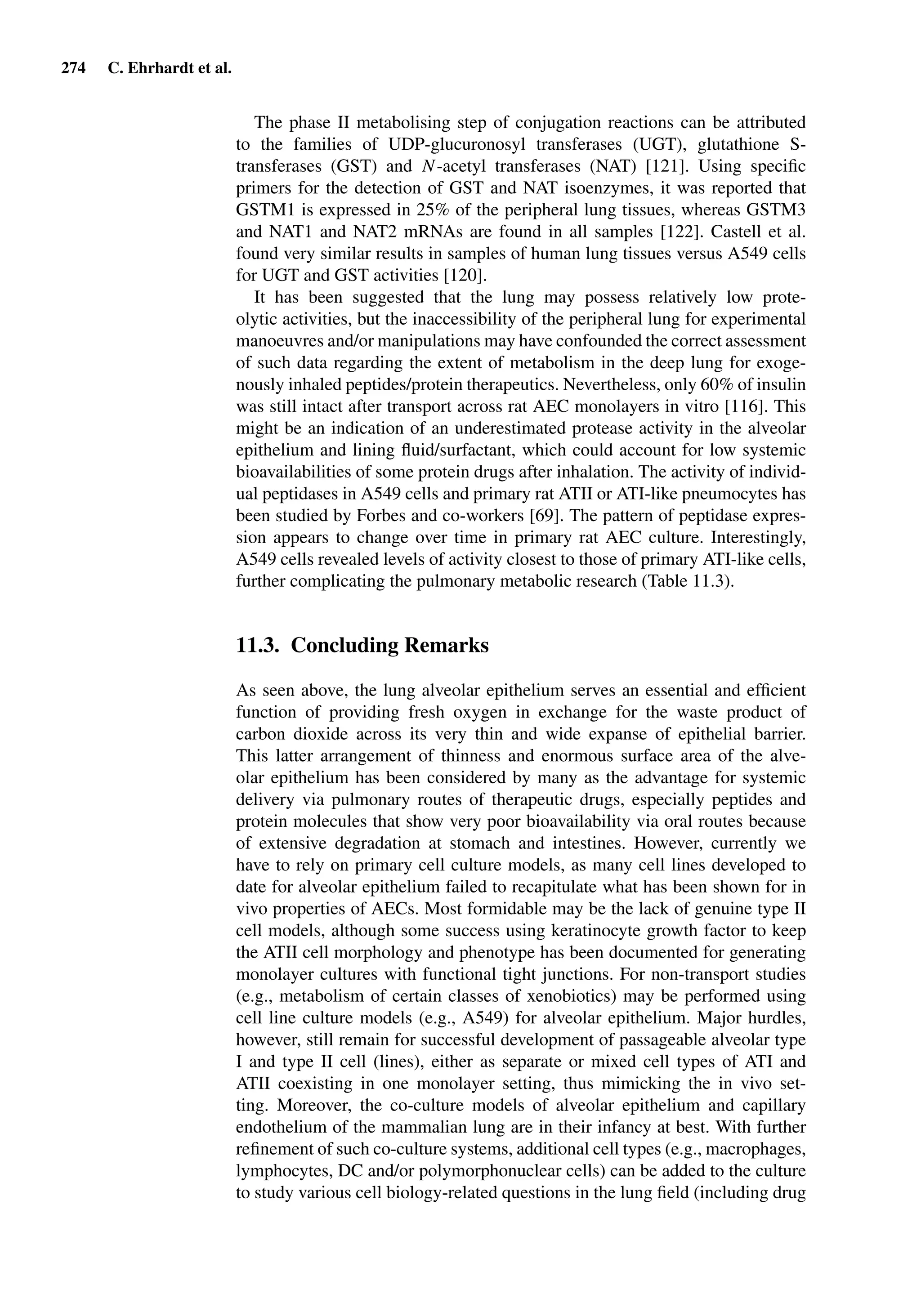 274 C. Ehrhardt et al.
The phase II metabolising step of conjugation reactions can be attributed
to the families of UDP-glucuronosyl transferases (UGT), glutathione S-
transferases (GST) and N-acetyl transferases (NAT) [121]. Using speciﬁc
primers for the detection of GST and NAT isoenzymes, it was reported that
GSTM1 is expressed in 25% of the peripheral lung tissues, whereas GSTM3
and NAT1 and NAT2 mRNAs are found in all samples [122]. Castell et al.
found very similar results in samples of human lung tissues versus A549 cells
for UGT and GST activities [120].
It has been suggested that the lung may possess relatively low prote-
olytic activities, but the inaccessibility of the peripheral lung for experimental
manoeuvres and/or manipulations may have confounded the correct assessment
of such data regarding the extent of metabolism in the deep lung for exoge-
nously inhaled peptides/protein therapeutics. Nevertheless, only 60% of insulin
was still intact after transport across rat AEC monolayers in vitro [116]. This
might be an indication of an underestimated protease activity in the alveolar
epithelium and lining ﬂuid/surfactant, which could account for low systemic
bioavailabilities of some protein drugs after inhalation. The activity of individ-
ual peptidases in A549 cells and primary rat ATII or ATI-like pneumocytes has
been studied by Forbes and co-workers [69]. The pattern of peptidase expres-
sion appears to change over time in primary rat AEC culture. Interestingly,
A549 cells revealed levels of activity closest to those of primary ATI-like cells,
further complicating the pulmonary metabolic research (Table 11.3).
11.3. Concluding Remarks
As seen above, the lung alveolar epithelium serves an essential and efﬁcient
function of providing fresh oxygen in exchange for the waste product of
carbon dioxide across its very thin and wide expanse of epithelial barrier.
This latter arrangement of thinness and enormous surface area of the alve-
olar epithelium has been considered by many as the advantage for systemic
delivery via pulmonary routes of therapeutic drugs, especially peptides and
protein molecules that show very poor bioavailability via oral routes because
of extensive degradation at stomach and intestines. However, currently we
have to rely on primary cell culture models, as many cell lines developed to
date for alveolar epithelium failed to recapitulate what has been shown for in
vivo properties of AECs. Most formidable may be the lack of genuine type II
cell models, although some success using keratinocyte growth factor to keep
the ATII cell morphology and phenotype has been documented for generating
monolayer cultures with functional tight junctions. For non-transport studies
(e.g., metabolism of certain classes of xenobiotics) may be performed using
cell line culture models (e.g., A549) for alveolar epithelium. Major hurdles,
however, still remain for successful development of passageable alveolar type
I and type II cell (lines), either as separate or mixed cell types of ATI and
ATII coexisting in one monolayer setting, thus mimicking the in vivo set-
ting. Moreover, the co-culture models of alveolar epithelium and capillary
endothelium of the mammalian lung are in their infancy at best. With further
reﬁnement of such co-culture systems, additional cell types (e.g., macrophages,
lymphocytes, DC and/or polymorphonuclear cells) can be added to the culture
to study various cell biology-related questions in the lung ﬁeld (including drug
 