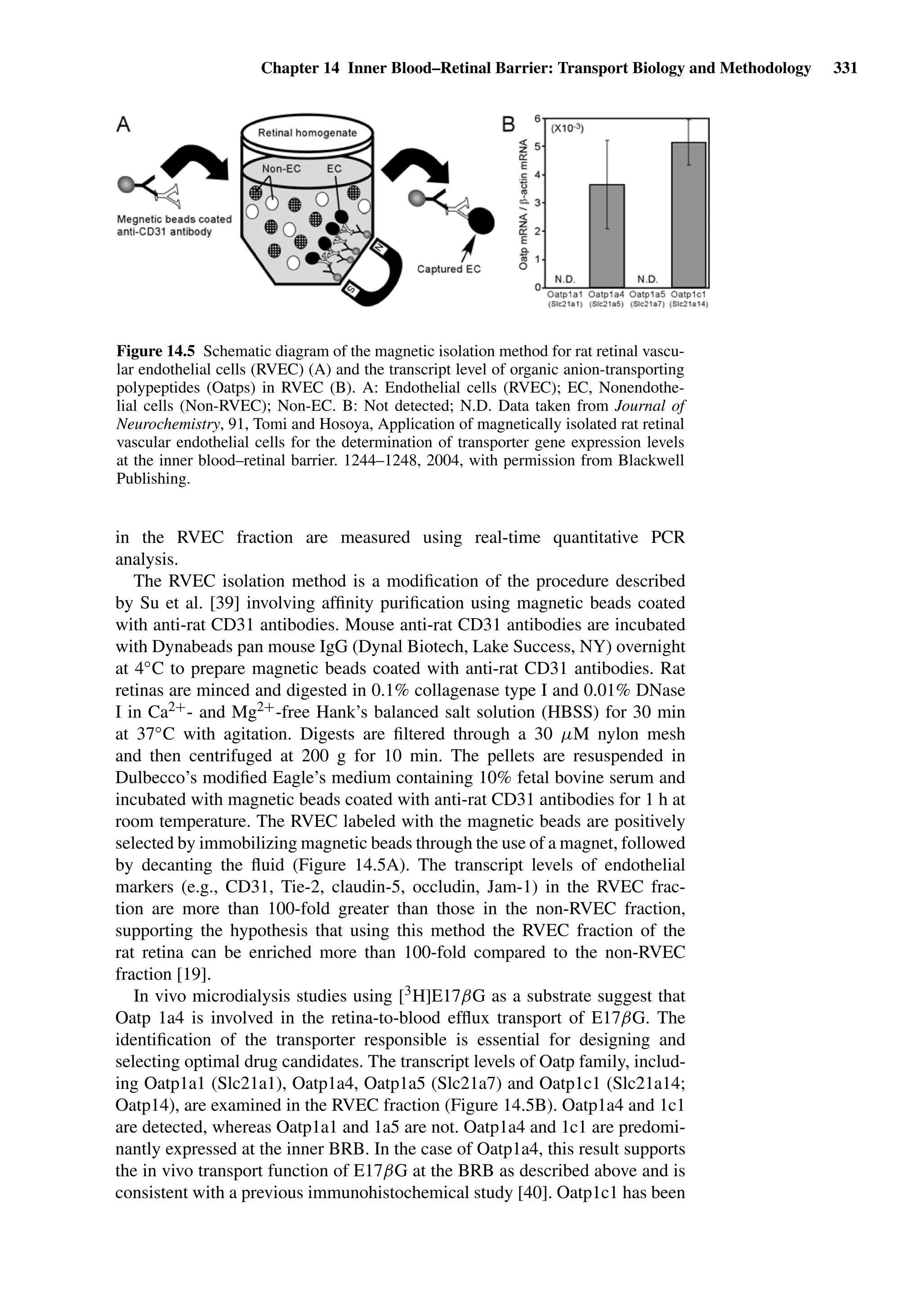 Drug Absorption Studies  2008