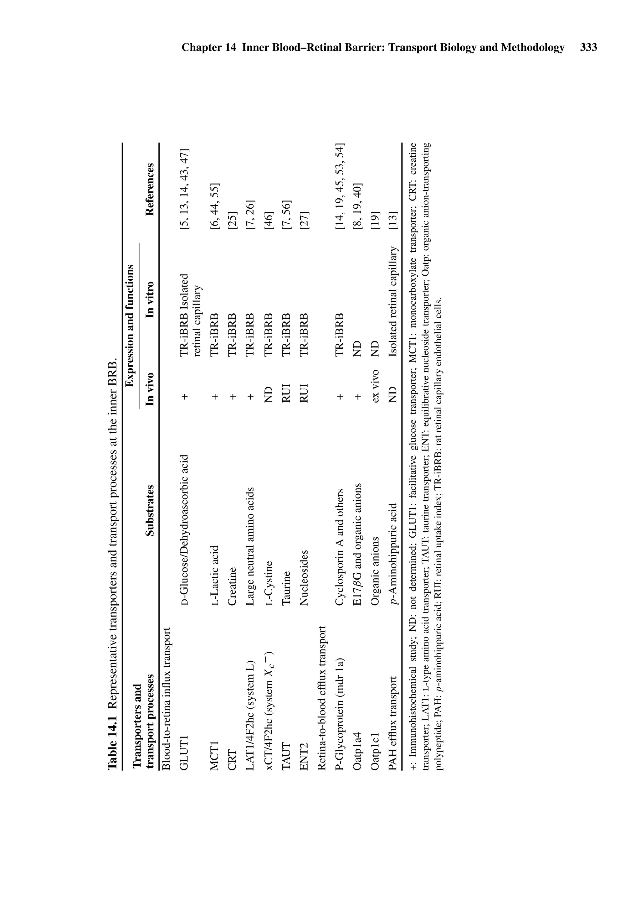 Drug Absorption Studies  2008