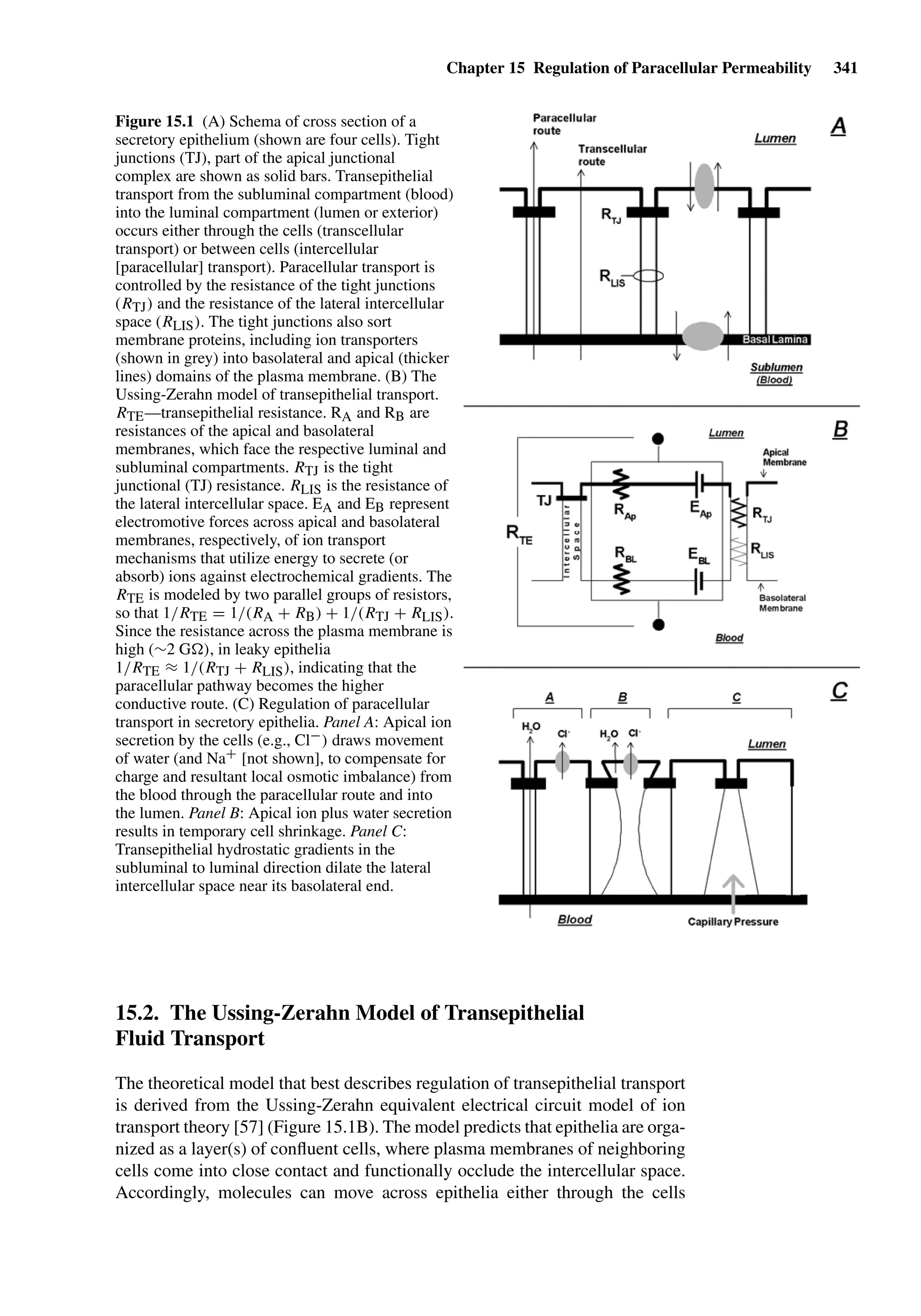 Drug Absorption Studies  2008