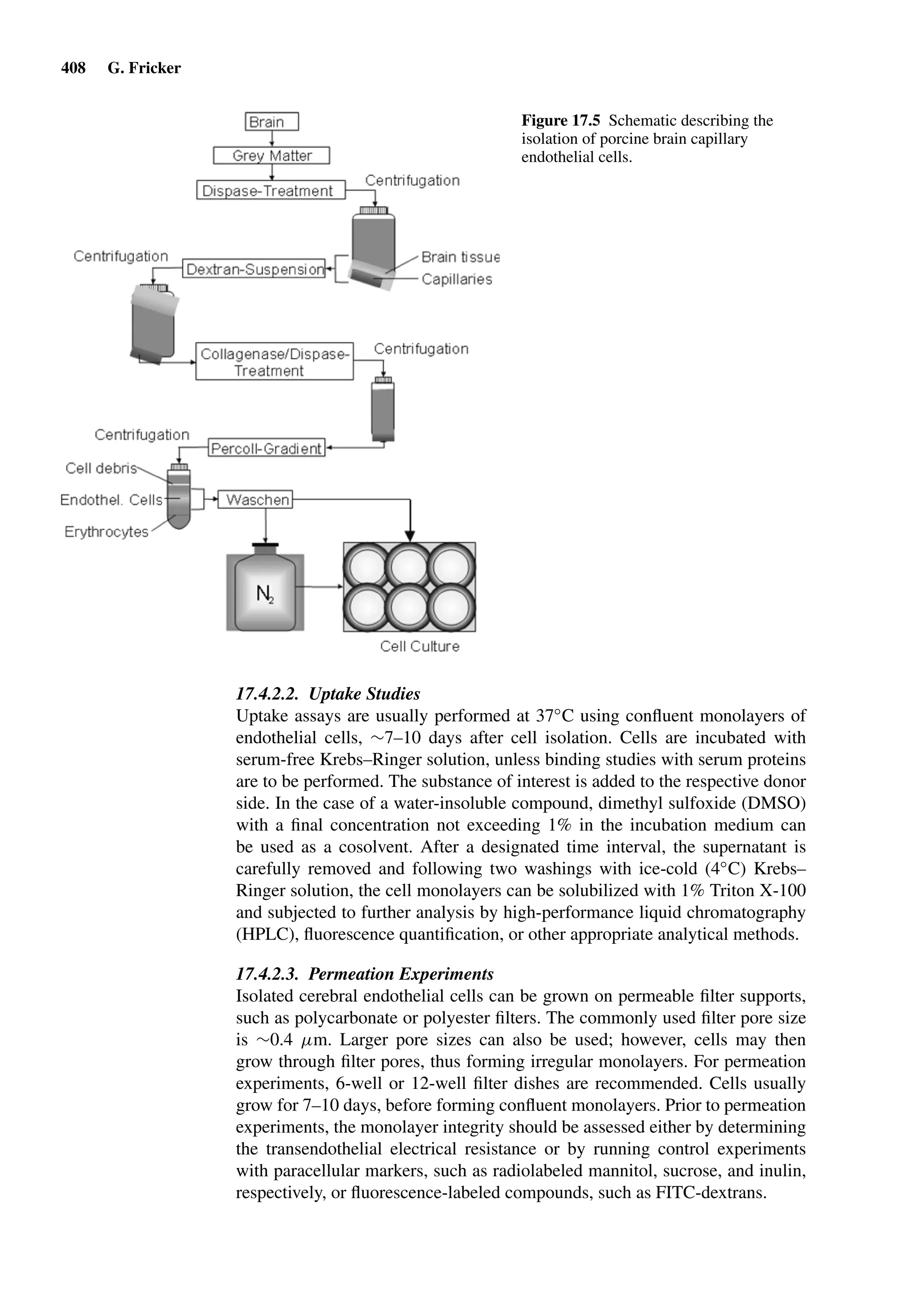 Drug Absorption Studies  2008