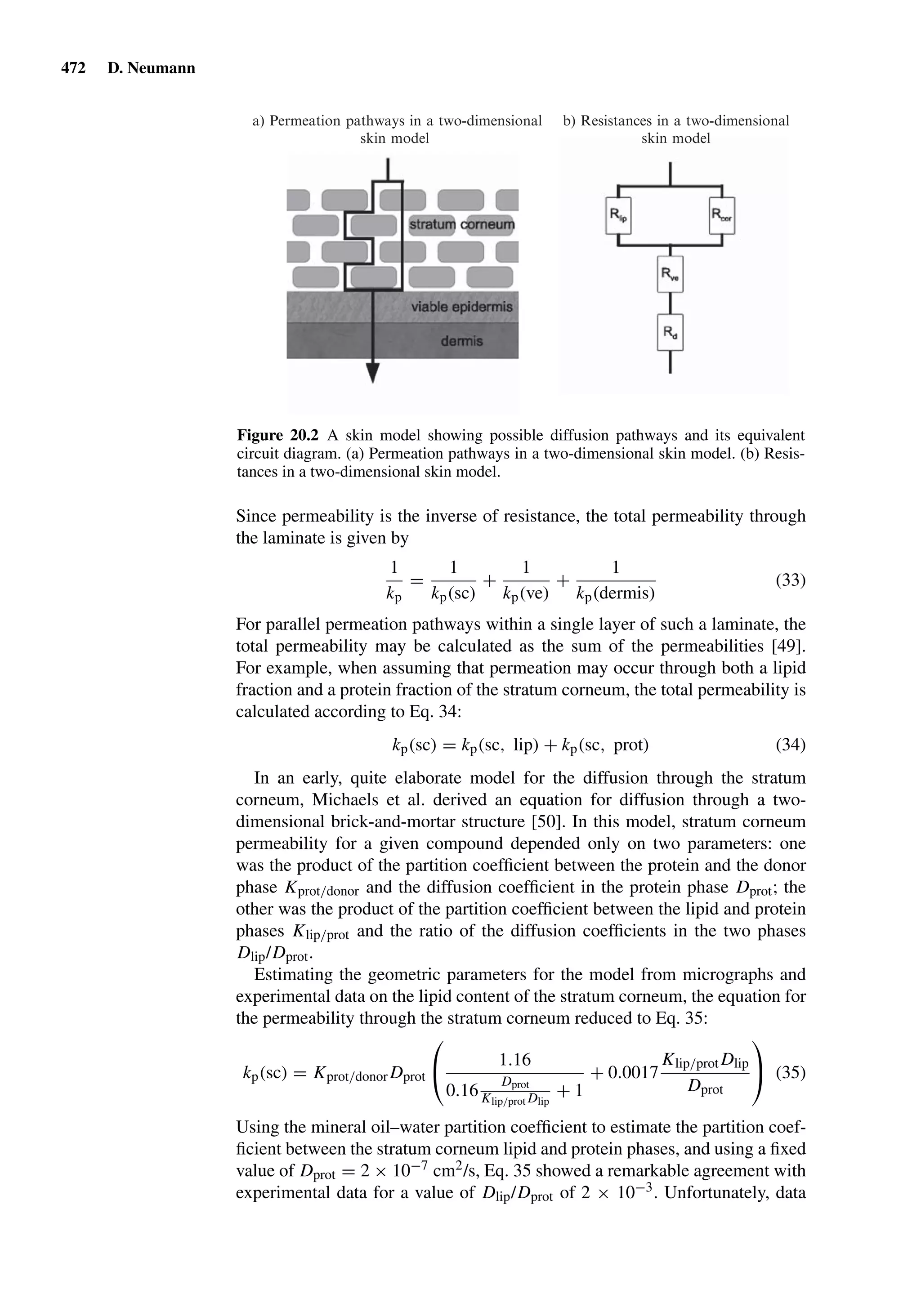 Drug Absorption Studies  2008