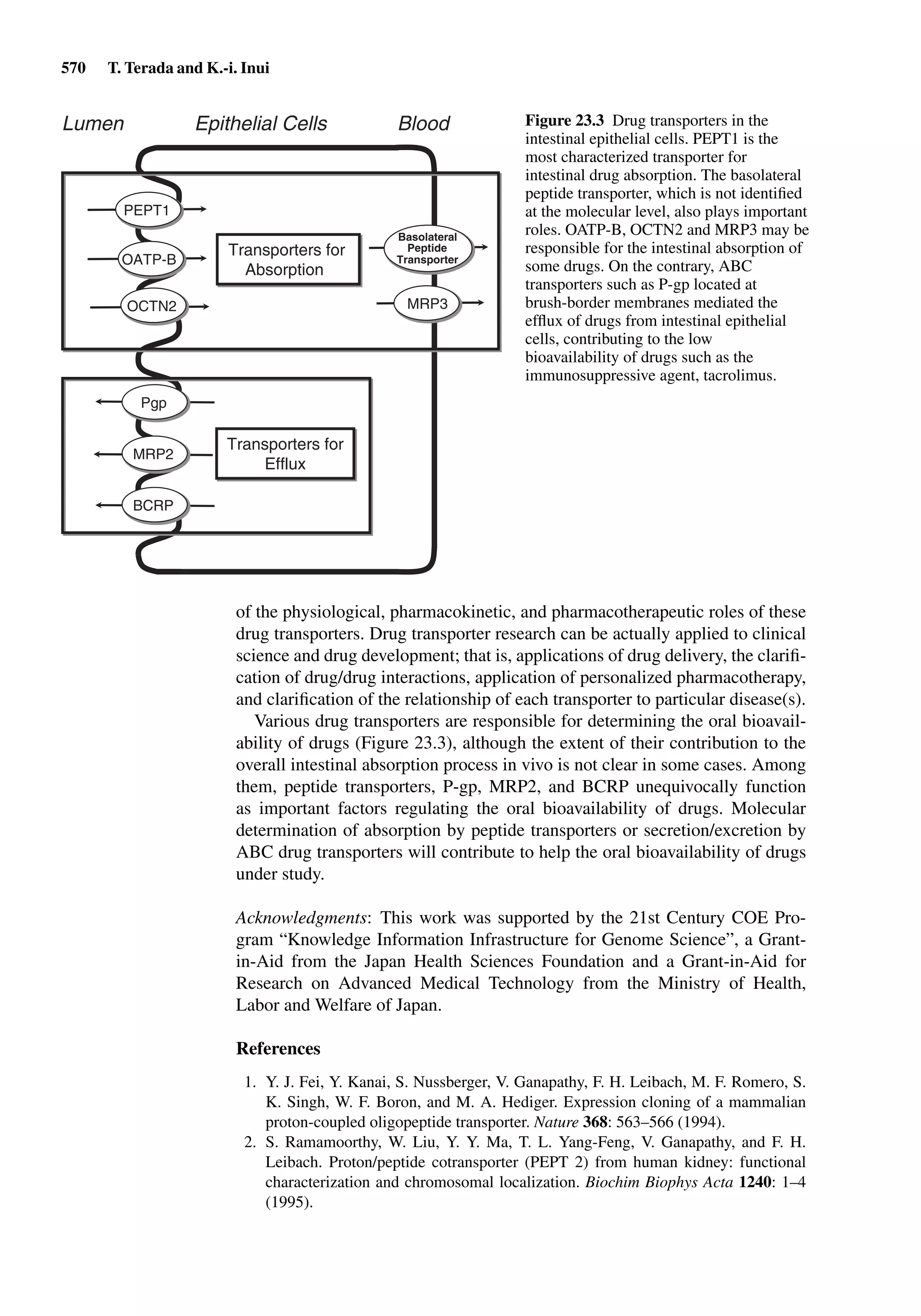 Drug Absorption Studies  2008