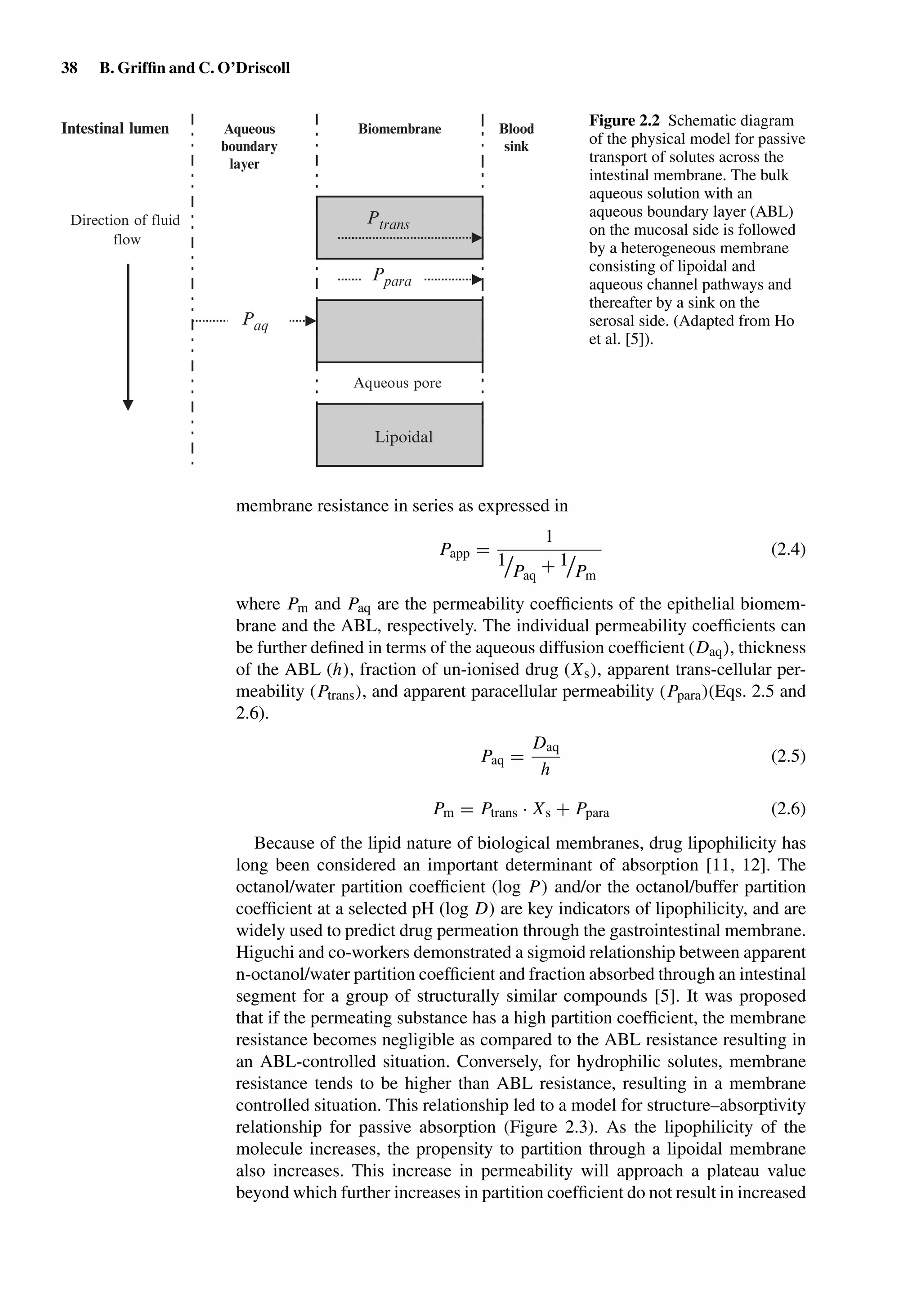 38 B. Grifﬁn and C. O’Driscoll
Aqueous
boundary
layer
Intestinal lumen Blood
sink
Biomembrane
Aqueous pore
Lipoidal
PtransDirection of fluid
flow
Ppara
Paq
Figure 2.2 Schematic diagram
of the physical model for passive
transport of solutes across the
intestinal membrane. The bulk
aqueous solution with an
aqueous boundary layer (ABL)
on the mucosal side is followed
by a heterogeneous membrane
consisting of lipoidal and
aqueous channel pathways and
thereafter by a sink on the
serosal side. (Adapted from Ho
et al. [5]).
membrane resistance in series as expressed in
Papp =
1
1
Paq
+ 1
Pm
(2.4)
where Pm and Paq are the permeability coefﬁcients of the epithelial biomem-
brane and the ABL, respectively. The individual permeability coefﬁcients can
be further deﬁned in terms of the aqueous diffusion coefﬁcient (Daq), thickness
of the ABL (h), fraction of un-ionised drug (Xs), apparent trans-cellular per-
meability (Ptrans), and apparent paracellular permeability (Ppara)(Eqs. 2.5 and
2.6).
Paq =
Daq
h
(2.5)
Pm = Ptrans · Xs + Ppara (2.6)
Because of the lipid nature of biological membranes, drug lipophilicity has
long been considered an important determinant of absorption [11, 12]. The
octanol/water partition coefﬁcient (log P) and/or the octanol/buffer partition
coefﬁcient at a selected pH (log D) are key indicators of lipophilicity, and are
widely used to predict drug permeation through the gastrointestinal membrane.
Higuchi and co-workers demonstrated a sigmoid relationship between apparent
n-octanol/water partition coefﬁcient and fraction absorbed through an intestinal
segment for a group of structurally similar compounds [5]. It was proposed
that if the permeating substance has a high partition coefﬁcient, the membrane
resistance becomes negligible as compared to the ABL resistance resulting in
an ABL-controlled situation. Conversely, for hydrophilic solutes, membrane
resistance tends to be higher than ABL resistance, resulting in a membrane
controlled situation. This relationship led to a model for structure–absorptivity
relationship for passive absorption (Figure 2.3). As the lipophilicity of the
molecule increases, the propensity to partition through a lipoidal membrane
also increases. This increase in permeability will approach a plateau value
beyond which further increases in partition coefﬁcient do not result in increased
 